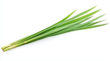 Fresh Green Leaves - A Culinary Delight