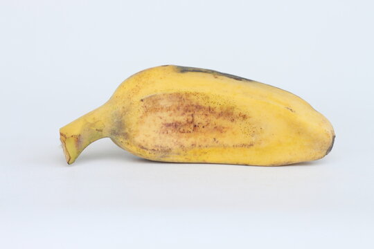 Close up view of Pisang Kepok (Cardava bananas) or cultivar of the species Musa acuminata. A type of banana in Indonesia that is often consumed boiled for breakfast or fried as a snack