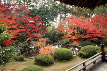 紅葉の日本庭園