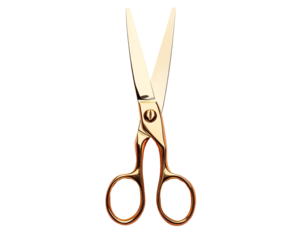 a pair of gold scissors
