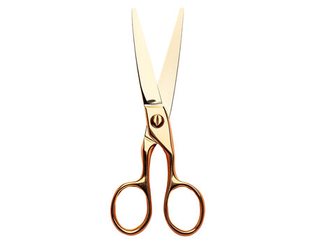 a pair of gold scissors
