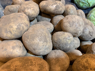 Unwashed, dirt-speckled fresh big potatoes close up shot