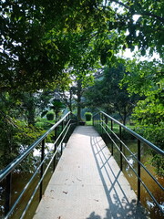 A bridge with beautiful nature.