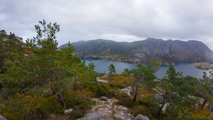 Scenic Fjord with Mountains and Pine Trees