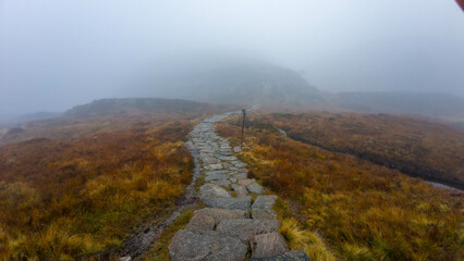 Foggy Stone Path Through Misty Landscape