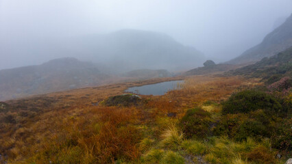 Misty Landscape with Autumn Colors and Pond