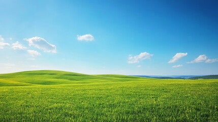 Obraz premium Expansive green fields under clear blue sky nature scene landscape photography peaceful environment wide angle view serenity