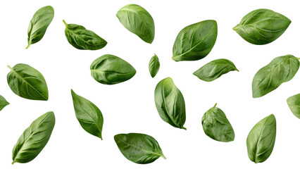 Naklejka premium Fresh basil leaves scattered on black background, showcasing their vibrant green color and unique shapes. Perfect for culinary and design use