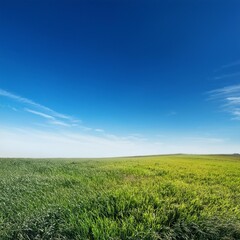 Obraz premium blue sky clear blue sky no clouds