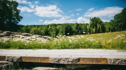 Fototapeta premium Serene Landscape with Wooden Pathway and Wildflowers Under Blue Sky