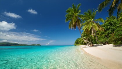 background a peaceful beach with crystal clear water and swaying palm trees