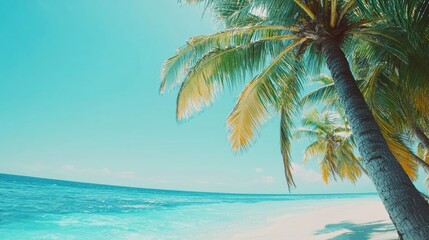 Tropical beach scene with crystal clear turquoise waters and swaying palm trees, perfect for a tranquil summer getaway.