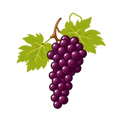 Fototapeta premium Grapes isolated logo icon isolated on white background , no text