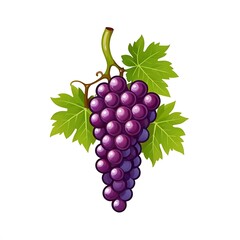 Fototapeta premium Grapes isolated logo icon isolated on white background , no text