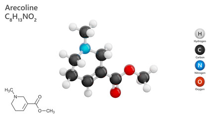 Molecule: Arecoline. Molecular structure. Formula: C8H13NO2. Chemical model: Ball and stick. White background. 3D illustration.