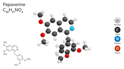 Molecule: Papaverine. Antispasmodic drug. Molecular structure. Formula: C20H21NO4. Chemical model: Ball and stick. White background. 3D illustration.