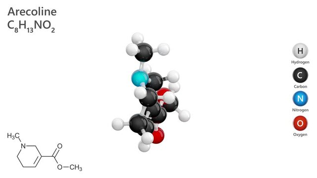 Arecoline. Animated 3D model of a molecule. Molecular formula: C8H13NO2. Chemical model: Ball and sticks. White background. 3D rendering. Seamless loop.