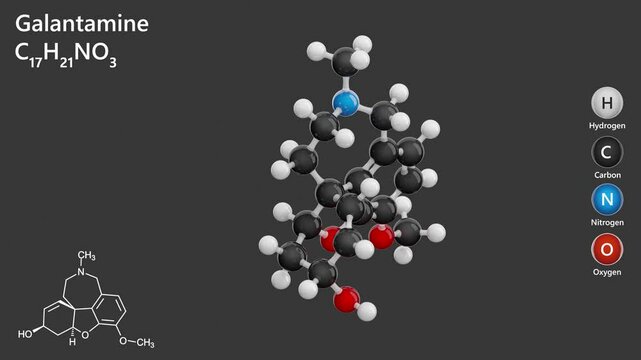 Galantamine. Animated 3D model of a molecule. Molecular formula: C17H21NO3. Chemical model: Ball and sticks. Gray background. 3D rendering. Seamless loop.