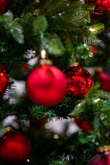 Green artificial fir branches decorated with red balls with garland lights