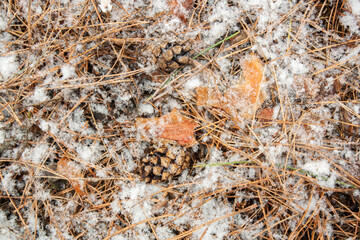 texture of the sand