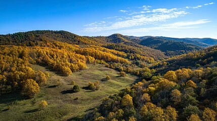 Aerial view of autumnal hills with golden foliage and grasslands