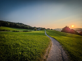 Obraz premium Evening path to horizon