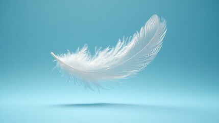 A single white feather floats in mid-air against a blue background.