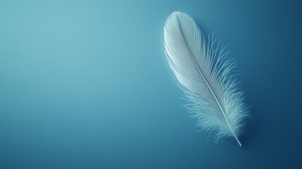 A single white feather rests on a blue background.