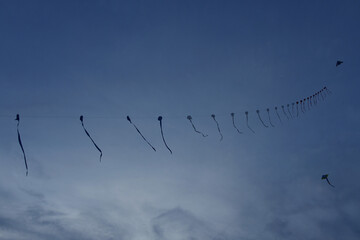 Kite set in a same rope with gradient blue sky in an evening