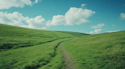 Naklejka premium Rolling green pastures with a dirt path cutting through, under a bright summer sky