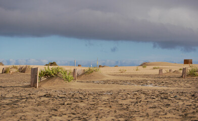 Special fence barriers for conservation ecosystem plants of dune in Maspalomas, Gran Canaria. Natural reserve to protect Traganum Moquinii plant, which helps to form dunes and regulate sand movement