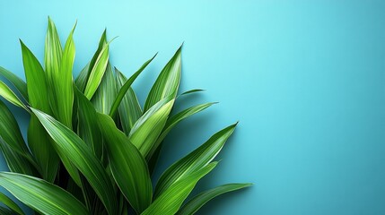 Obraz premium Lush green foliage with long leaves against a vibrant blue background.