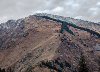 landscape in the winter