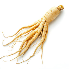 ginseng root isolated on white
