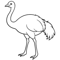 Obraz premium ostrich vector illustration line art transparent background