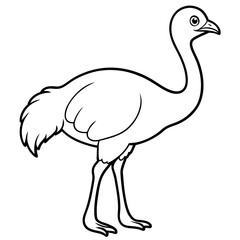 Obraz premium ostrich vector illustration line art transparent background