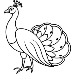 Fototapeta premium peacock vector illustration line art transparent background