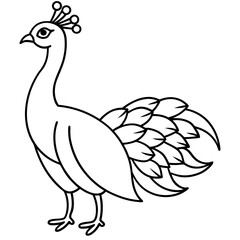 Naklejka premium peacock vector illustration line art transparent background