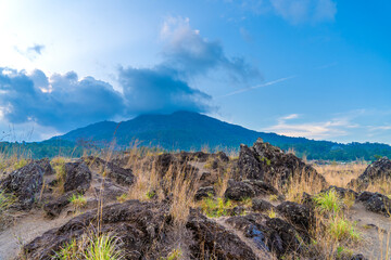 The solidified lava underneath the abundant vegetation. Landscape of Batur volcano is a active volcano on Bali island, Indonesia. Magnificent nature view of mount Batur in Kintamani, Bali