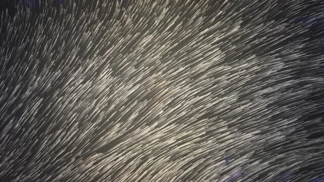 Wind Movement Animation Background, Loop Video