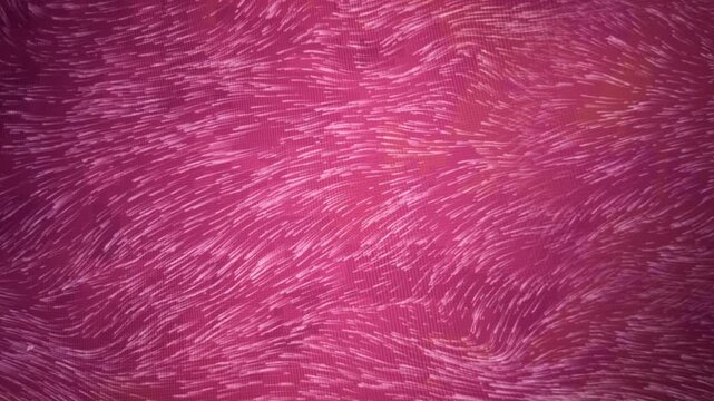 Wind Movement Animation, Loop Video