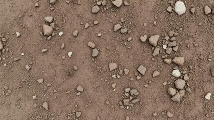 Rough and gritty dirt ground texture with small rocks and patches of dry earth, ground texture