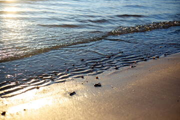 beach at sunset