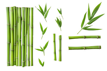 Obraz premium Green bamboo stick with leaves isolated on transparent background