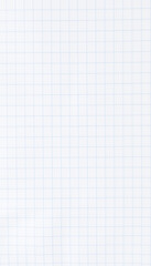 Squared paper grid notebook page with blank squares, perfect for math, technical, or business notes