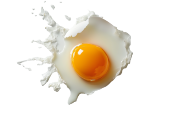 Broken egg white and yolk on transparent background
