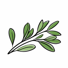 Simple Line Drawing of an Olive Branch with Green Leaves