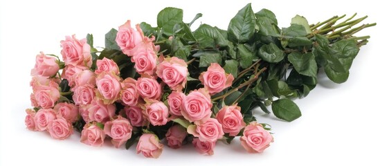 Fototapeta premium Elegant bouquet of soft pink roses arranged on a pristine white background ideal for floral design and romantic themes