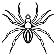 spider vector illustration isolated line art transparent background
