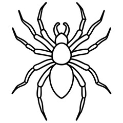 Obraz premium spider vector illustration isolated line art transparent background